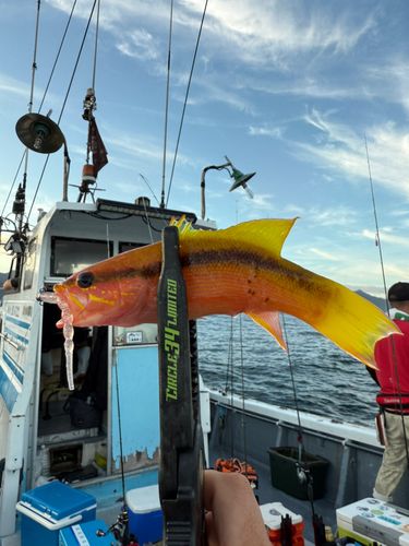 ツルグエの釣果