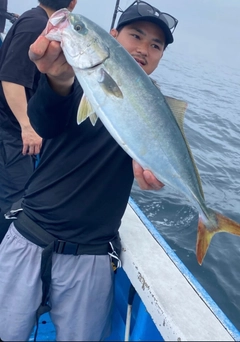 ワラサの釣果