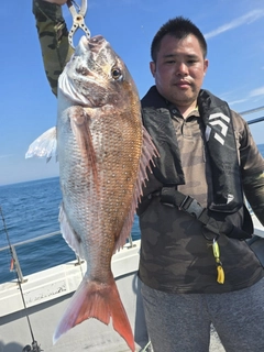 マダイの釣果