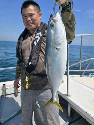 ワラサの釣果