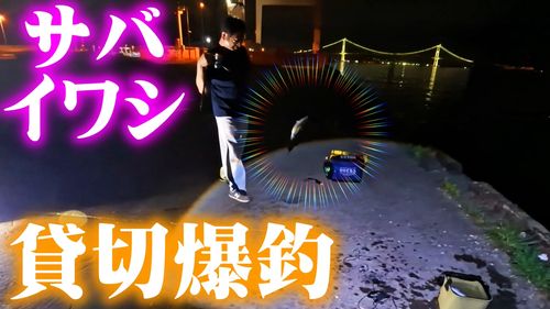 サバの釣果