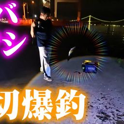 サバ