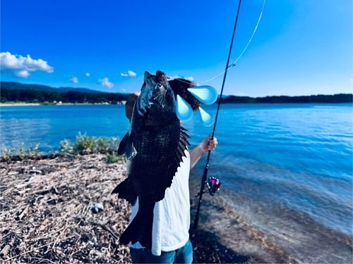 タイの釣果