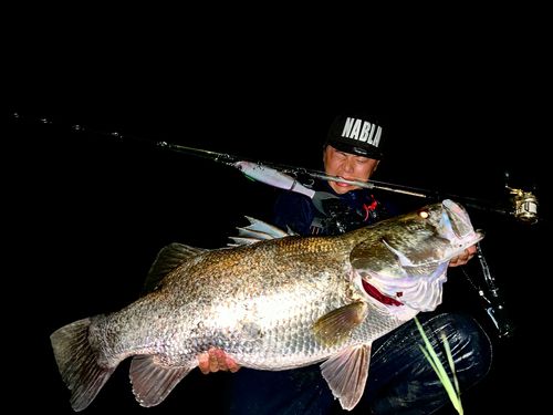 アカメの釣果