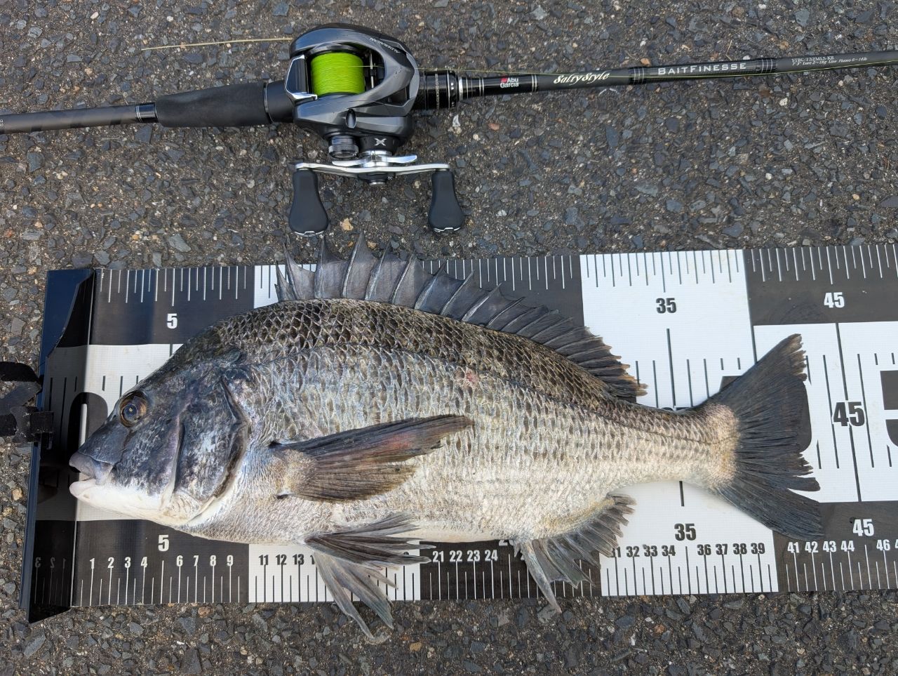 AbuGarcia ソルティースタイル ベイトフィネスカスタム STBC