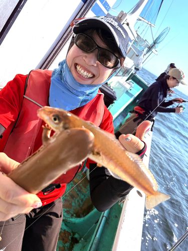 キスの釣果