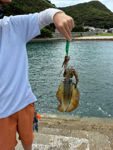 米淵港