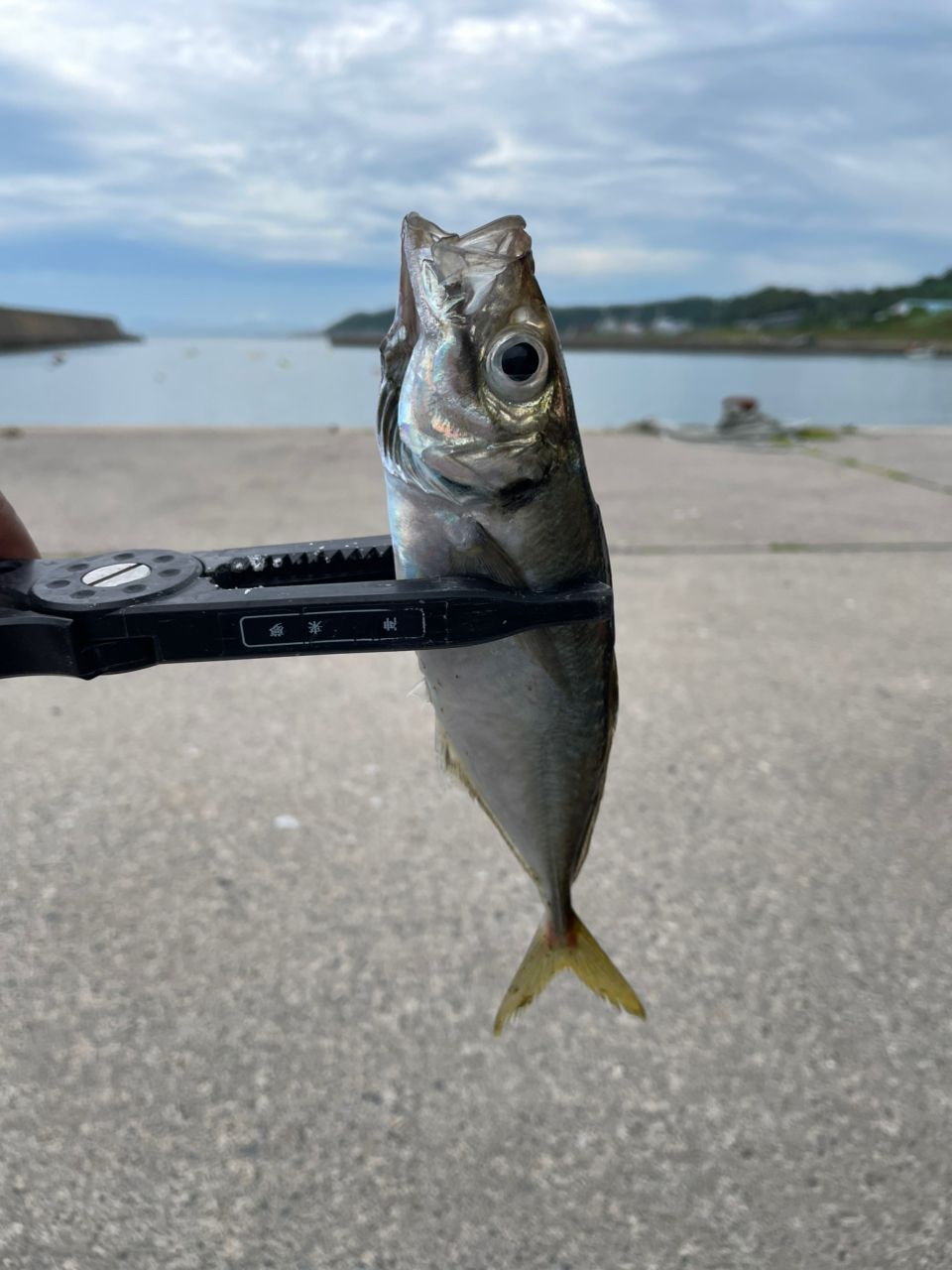 AbuGarcia ソルティーステージ プロトタイプ アジング XAJS