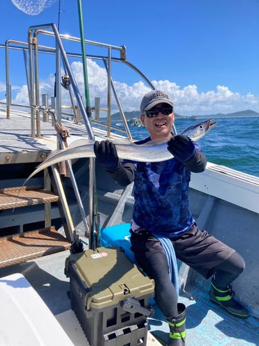 タチウオの釣果