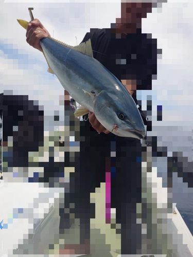 ワラサの釣果