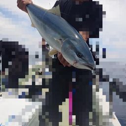 ワラサ