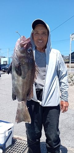 イシナギの釣果