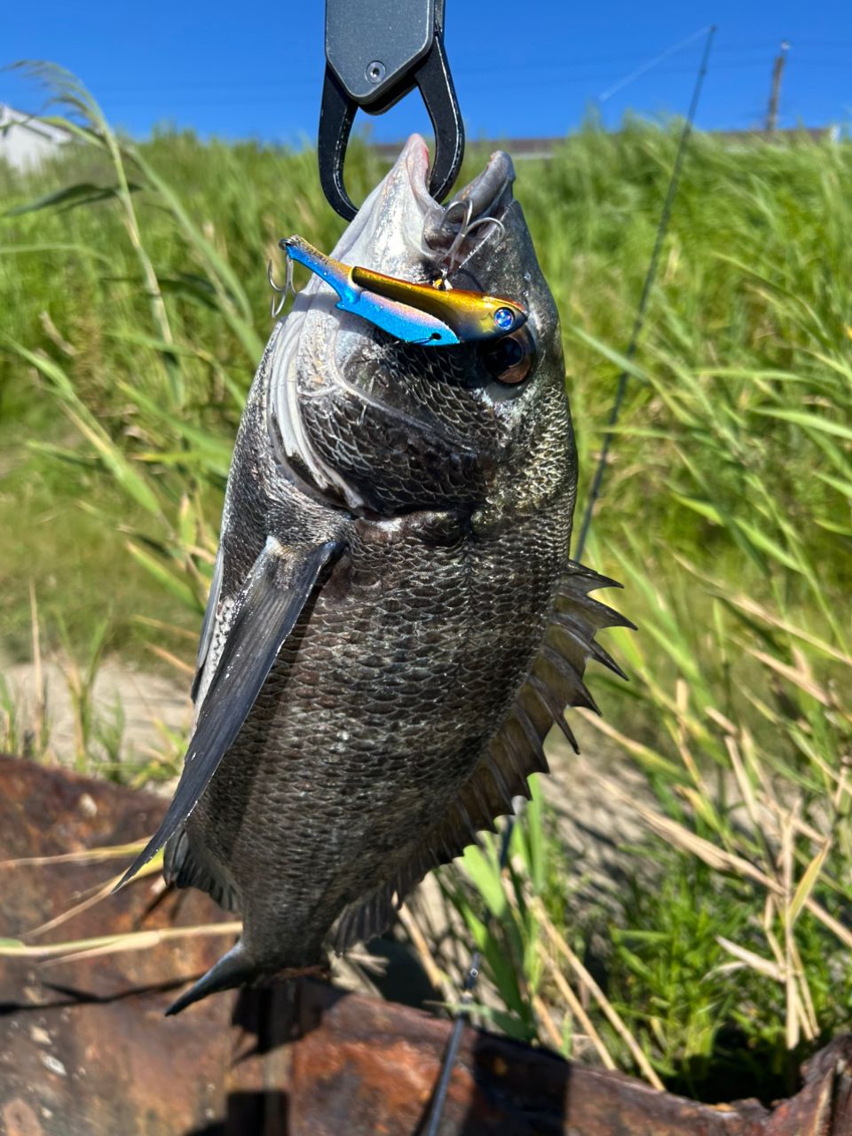 DAIWA 21シーバスハンター X 93ML・Rの最安値・インプレ・釣果