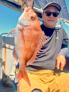 マダイの釣果