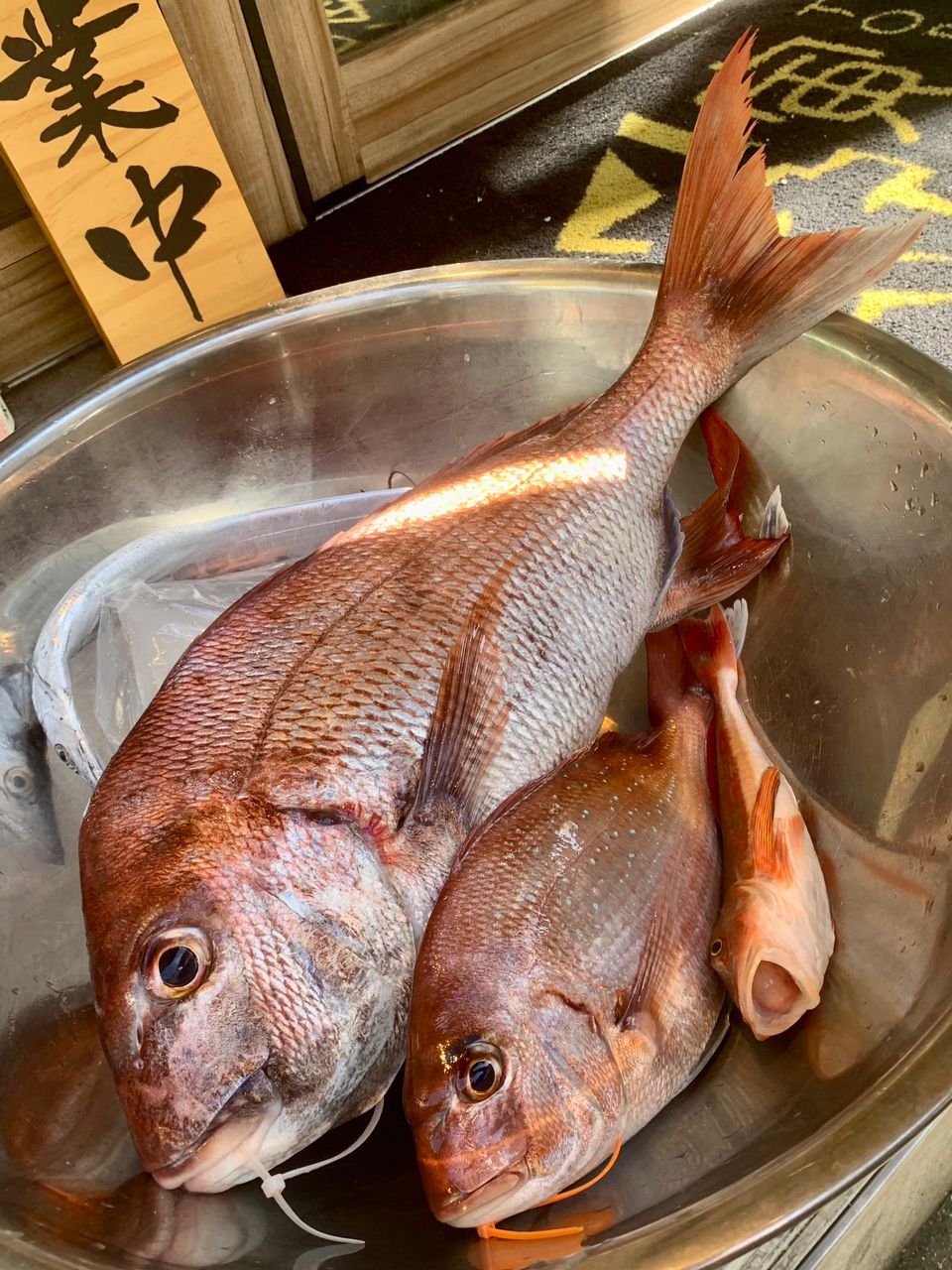 わじゅけんさんの釣果 3枚目の画像