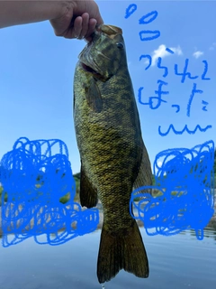 スモールマウスバスの釣果