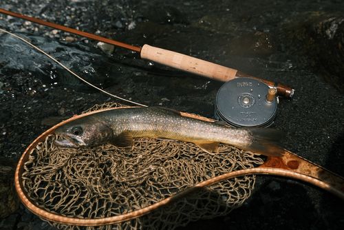 釣果