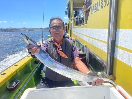 タチウオの釣果