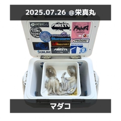 タコの釣果