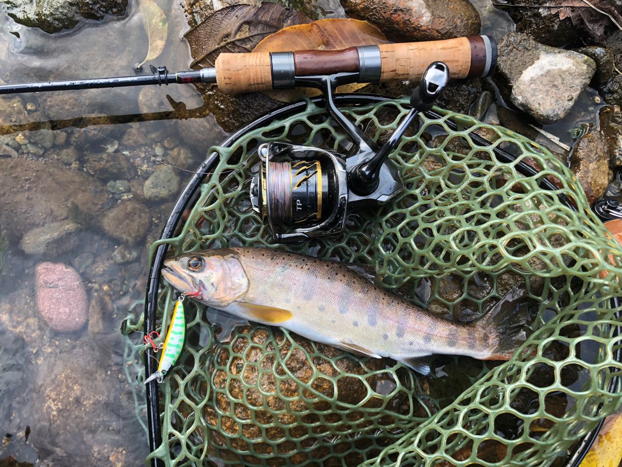 TENRYU レイズインテグラル Rayz integral（レイズ インテグラル）｜TROUT｜テンリュウ