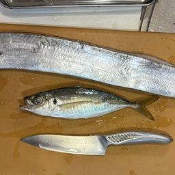 タチウオ