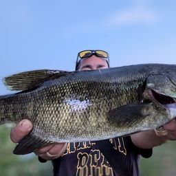 スモールマウスバス