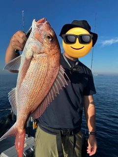 タイの釣果