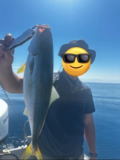 フクラギの釣果
