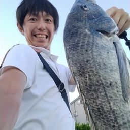 クロダイ