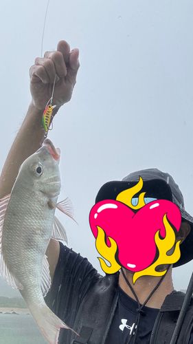 釣果