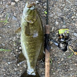 スモールマウスバス