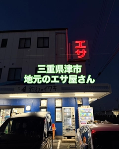 キスの釣果