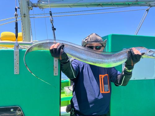 タチウオの釣果