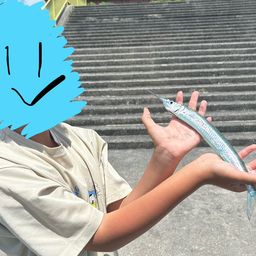 サヨリ
