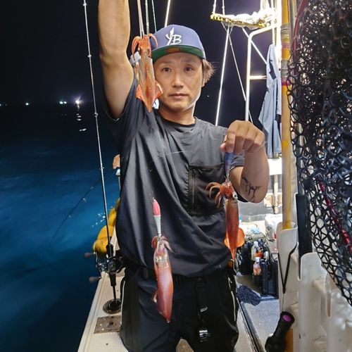 ヤリイカの釣果