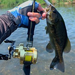 スモールマウスバス