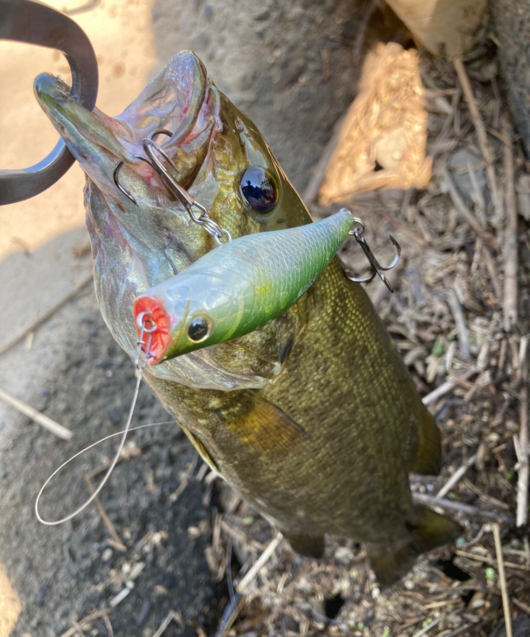 Megabass レヴァンテ JP F4-68LV 2Pの最安値・インプレ・釣果