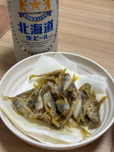 キジハタの釣果