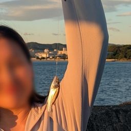 シーバス
