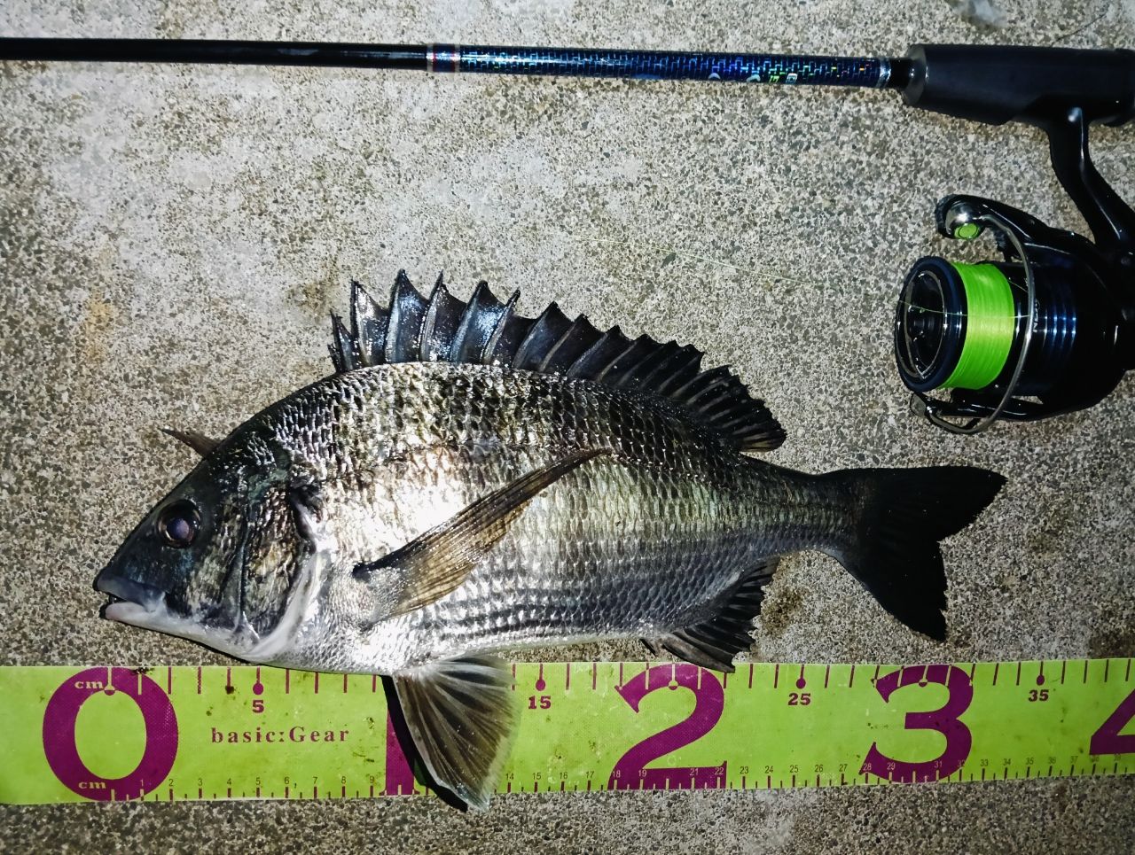 OGK(オージーケー) 探りきわきわTG 110 SKKT110M dwos6rj Amazon.com: Roylco Japanese Carp Wind Sock Activity Kit