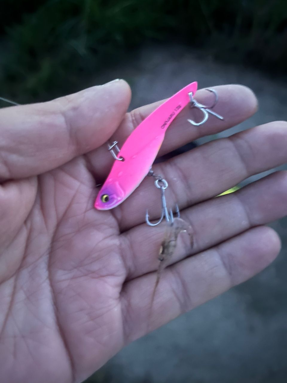 SHIMANO - ゆ様　18ステラ 4000MHG  SLJにベストマッチ 湘南でライトジギング。ウルメイワシに大サバも！ 釣果 18ステラ