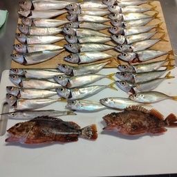 サバ
