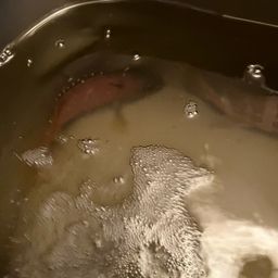 ベラ