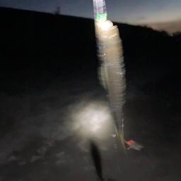 アジ