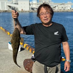 マゴチ