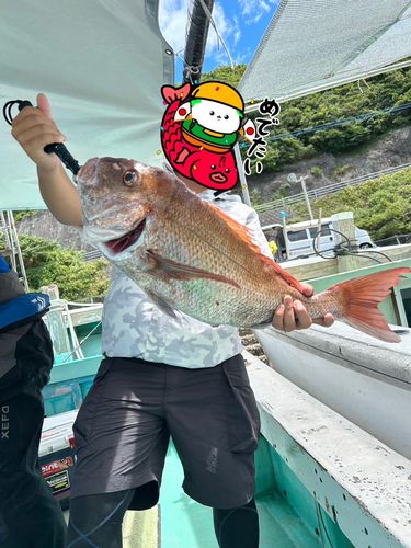タイの釣果