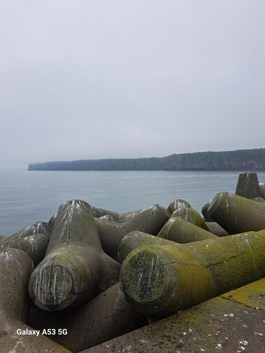 ガヤの釣果