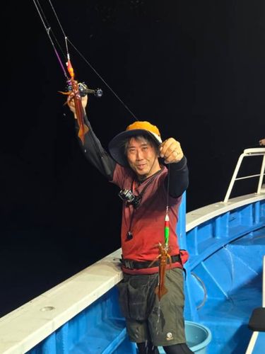イカの釣果