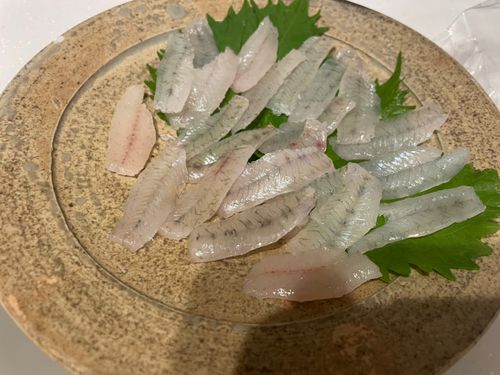 ハゼの釣果
