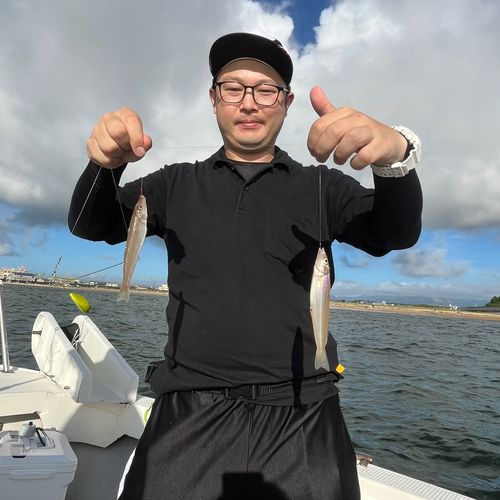 シロギスの釣果